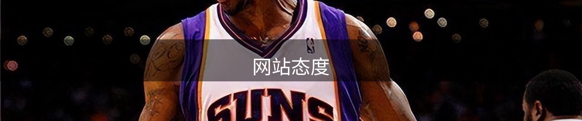 网站态度